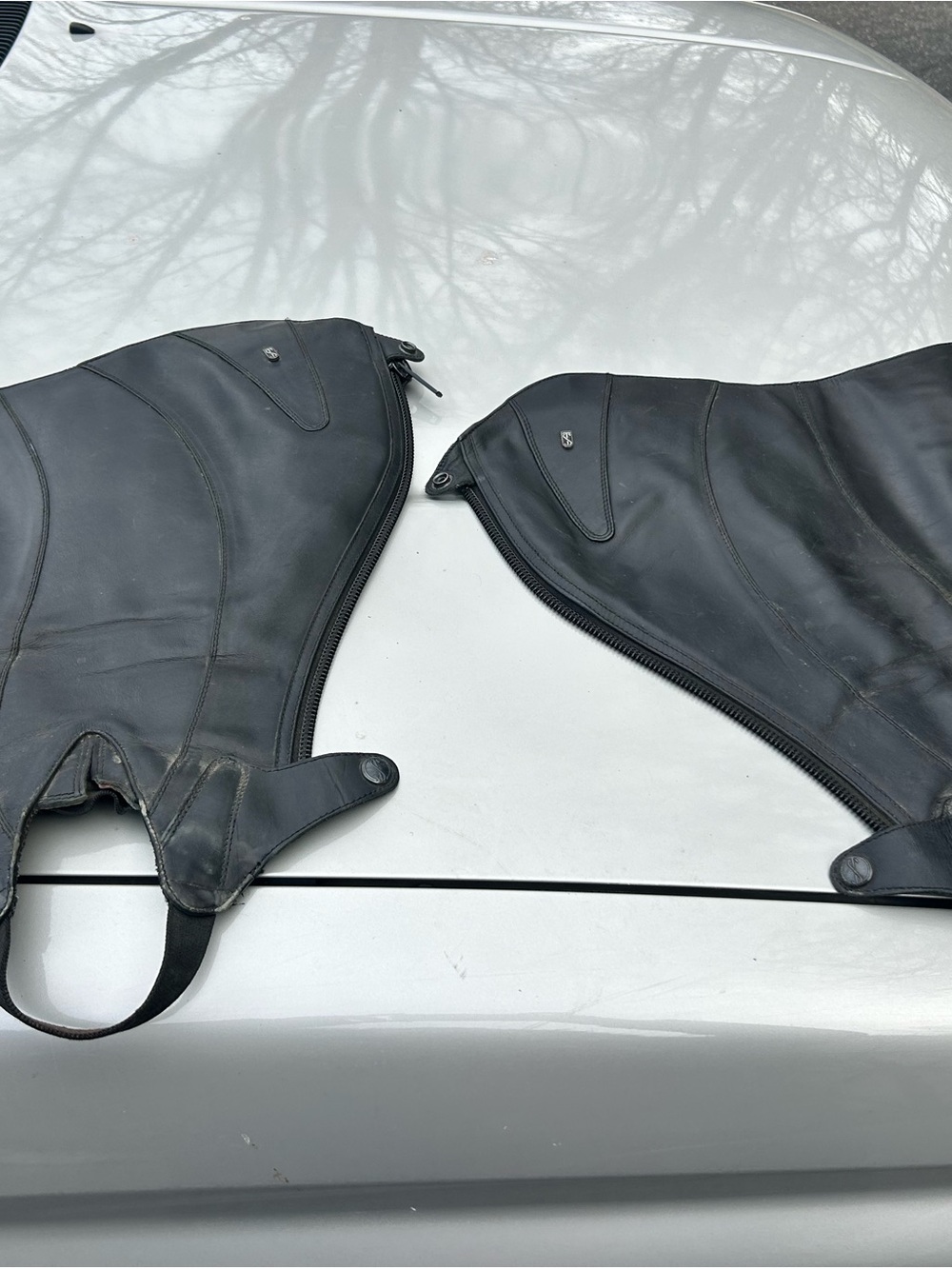 Black leather Tredstep half chaps